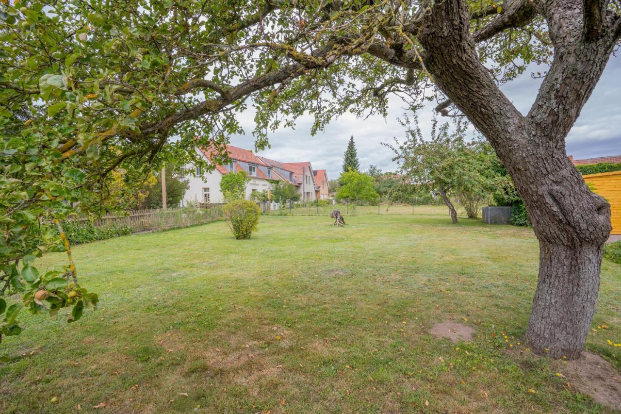 Ferienhaus "Seeadler" In Rankwitz Am Peenestrom Esterno foto